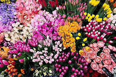 Fami通新作评分公布：《明末：渊虚之羽》获32分好评！