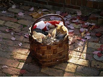 EA发《死亡空间2、3》调查 是否对重制感兴趣